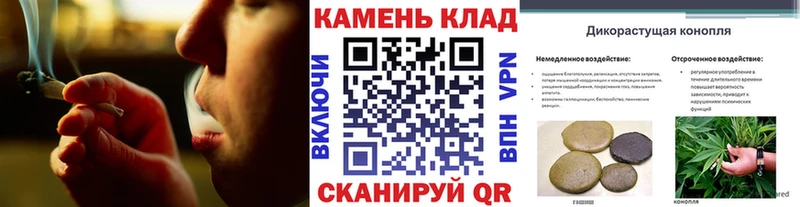 дарнет шоп Кстово ГАШ hashish