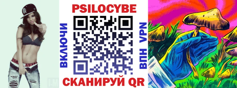 Галлюциногенные грибы Psilocybe Кстово