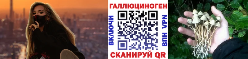 Галлюциногенные грибы Psilocybe Кстово